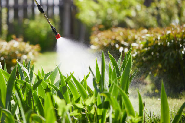 Tamper-Resistant Bait Stations for Rodents in Nokomis