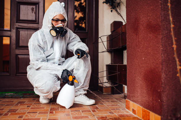 Attic and Crawl Space Rodent Treatment in Nokomis