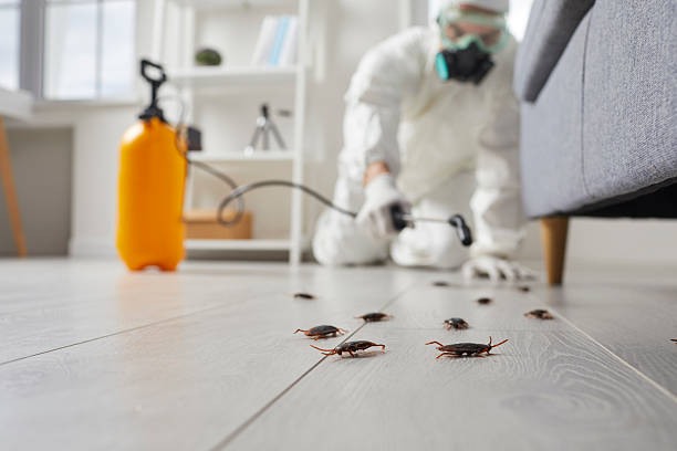 Commercial Rodent Management in Nokomis